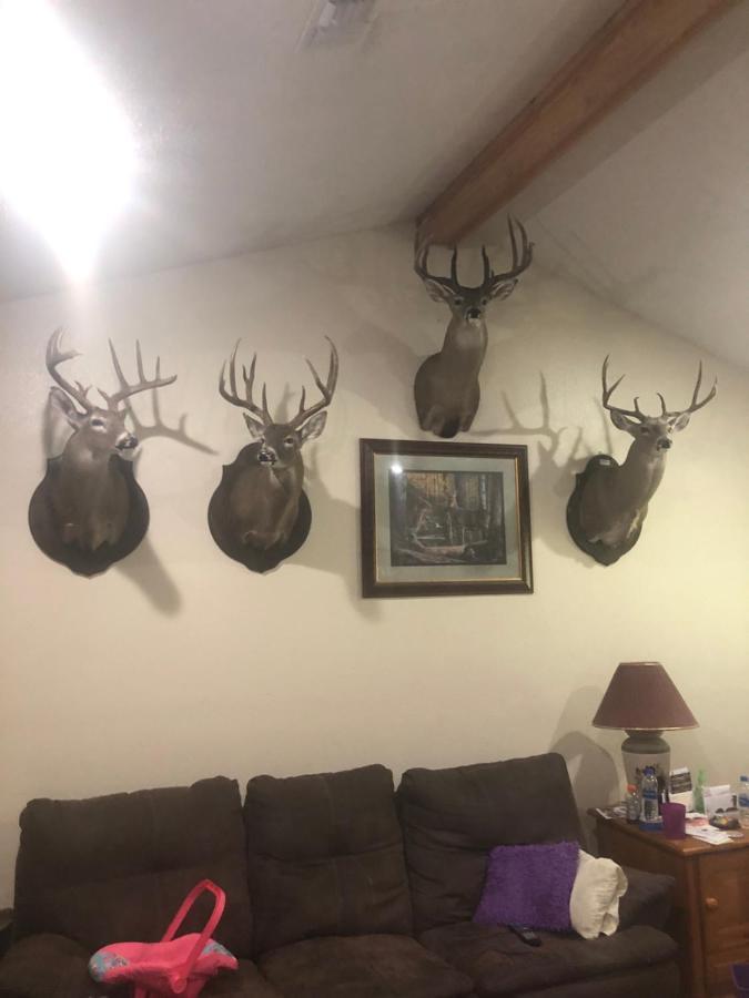 Knights Inn Bunkie Екстериор снимка